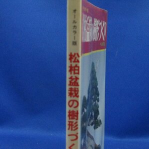 図解松柏盆栽の樹形づくり―オールカラー版/32808の画像2