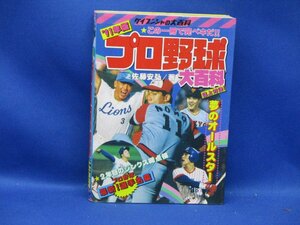 ケイブンシャの大百科　９１年版　プロ野球大百科　/32904