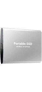 LOGANZ 外付けSSD ポータブルSSD 高速転送Lrdd (Gray, 30TB)