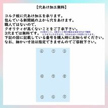 c3066 【1枚】 コルク樹皮 コルク板 バージンコルク 15×20cm 送料/穴あけ無料　 チランジア　ビカクシダ　着生ラン　両生類　爬虫類　_画像6