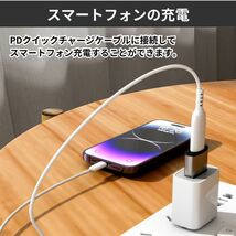 USB Type-C 変換 タイプC 変換アダプタ iPhone 2個 ブラック_画像4