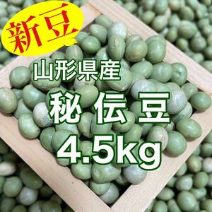 【新豆】山形県産青大豆 秘伝豆4.5kg