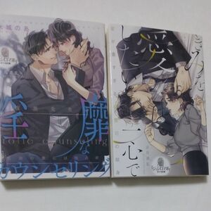  きみを愛したい一心で （オパール文庫） 麻生ミカリ／著価格：720円（税抜）tl小説