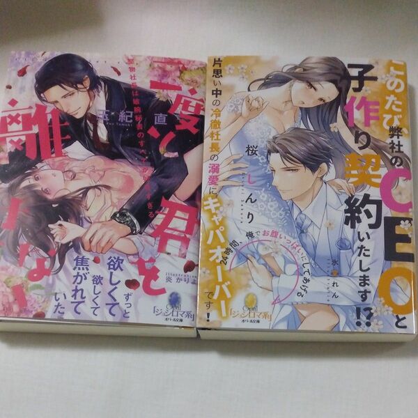  二度と君を離さない　堅物社長は敏腕秘書のすべてが好きすぎる （オパール文庫） 玉紀直／著価格：700円（税抜）tl小説