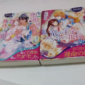 竜の王子とかりそめの花嫁 （ノーチェ文庫） 富樫聖夜／〔著〕tl小説