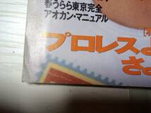 週刊プレイボーイ 1994年5月17日号 No.19・20☆西田ひかる8p秋本奈緒美4p三浦綺音pin＋6p河合あすかpin＋7p吉川ひなの7p秋本祐希7p _画像6