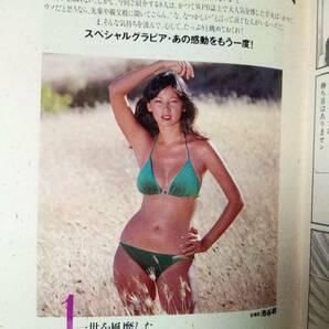 週刊プレイボーイ 1993年10月5日号 NO.41☆石田ゆり子8p小松千春5p河合あすか6p由美かおる/夏目雅子/アグネス・ラム/石野真子/真田広之の画像5