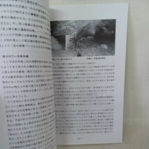 ☆ 「石造物研究会会誌　日引　特集　築城石と石切場」10号　2007年9月　石塔　石造物　印塔　遺跡　仏教考古学　墓石　石仏　日本文化　_画像10