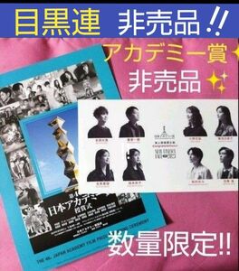 目黒蓮 めめ 日本アカデミー賞 新人俳優賞 非売品 数量限定 ポストカード フライヤー