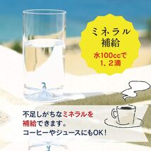 1 亀山堂 マグネシウム 赤いにがり ドリンク 1L [ にがり ＆ 専用小分けボトル20ml ＆ 説明書付き ］ 豆腐_画像5