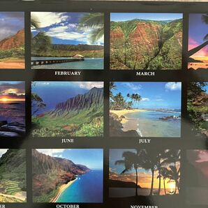 新品Hawaii 2024 ハワイアン 12か月 壁掛けカレンダー (カウアイ島ガーデンアイ)の画像3