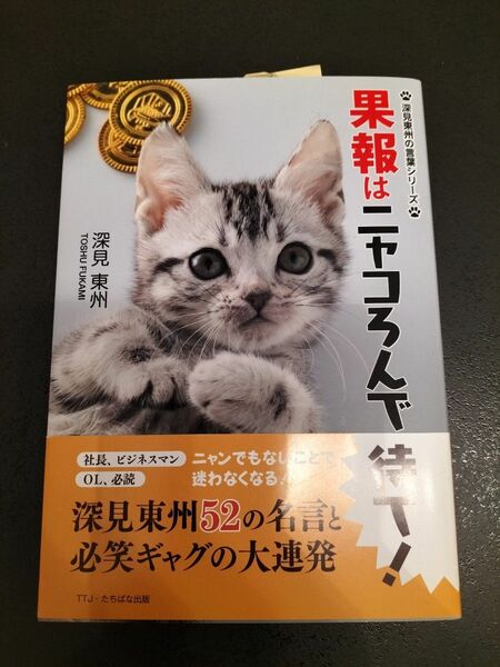 果報はニャコろんで待て！　猫　ネコ　子猫　癒し