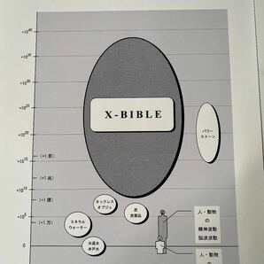 春のセール純チタン99.9999%超高波動ペンダントXバイブル健康アクセサリー電磁波対策パワーストーン水晶天然石隕石波動グッズ開運グッズの画像3