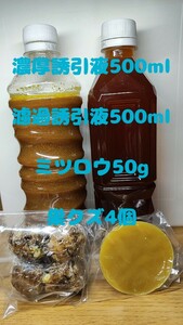 日本蜜蜂誘引液1000ml ミツロウ50g　巣クズ玉4個　キンリョウヘン　誘引ルアー