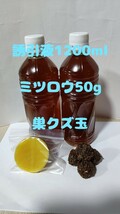 日本蜜蜂誘引液1000ml ミツロウ50g 巣クズ玉４個　キンリョウヘン　誘引ルアー_画像1