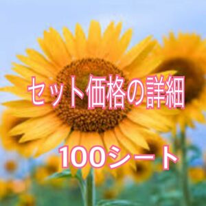 ケアシール　われもの注意65枚×100シート　/その他複数引きについて詳細　#ももの複数購入詳細ひまわり