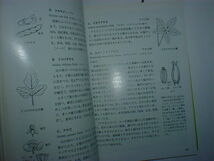 野草図鑑　６冊　即決_画像6