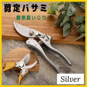 剪定ばさみ はさみ シルバー　20mm 剪定鋏 庭 ハサミ 園芸 枝切り152