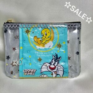 ビニールポーチ　フラットポーチ　シャカシャカポーチ　キラキラポーチ　LOONEY TUNES ひよこ　ねこ　ネコ☆