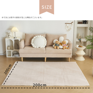 ラグ カシミヤ 洗える 北欧 ダウンリンク 200×200cm 超高密度織 約225万本/m2 カーペット 滑り止め 防ダニ