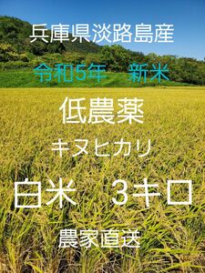 【令和5年新米】兵庫県淡路島産キヌヒカリ3キロ(低農薬白米)農家直送