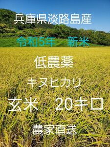 【令和5年新米】兵庫県淡路島産キヌヒカリ20キロ(低農薬玄米)農家直送