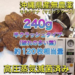 高圧蒸気滅菌済み沖縄県産無農薬モモタマナ　（マジックリーフ）　半クラッシュタイプ（破れの多い葉）240g（20cm前後の葉約120枚相当量）