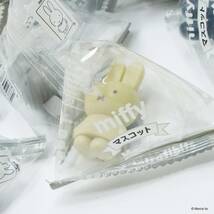 ミッフィー テトラフィビッツ (ソイル) 12個入りセット ☆ MIFFY ディック ブルーナ Dick Bruna うさこちゃん_画像5