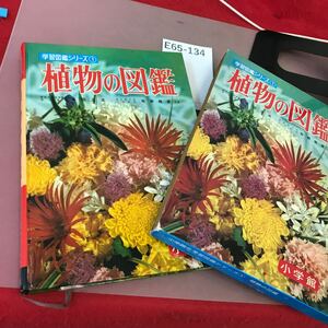 E65-134 小学館の 植物の図鑑 学習図鑑シリーズ 1汚れあり