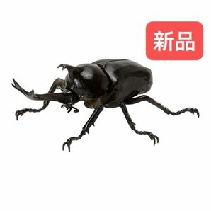 【新品】　ヤマトカブトムシ（歩行）　いきもの大図鑑ミニコレクション昆虫01 バンダイ　生き物　ガチャ