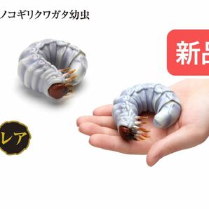 【新品】　レア　ノコギリクワガタ幼虫　いきもの大図鑑　バンダイ　生き物　ガチャ