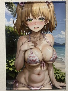 TDS04 B2 タペストリー ダブルスエード 組立不要 イラスト アート グラビア かわいい 美女 女の子 巨乳 美乳 爆乳 下着 制服 水着