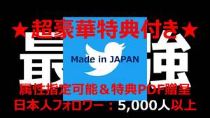 【Twitter】最高品質の日本人アカウントを豪華特典付きで入手する方法（フォロワー数：1,000人/2,000人/3,000人/5,000人 属性指定可能）