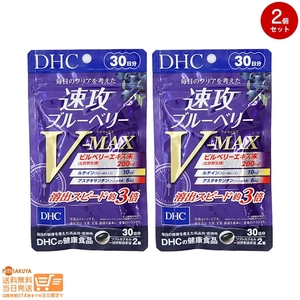 DHC 速攻ブルーベリー V-MAX 30日分 2個セット 送料無料