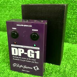 【動作確認済】G-Life Guitars DP-G1 デガウスプロセッサー Degaussing processorの画像1