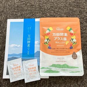 万田酵素 プラス温 発酵しょうが ペーストタイプ 31包 粒タイプ 2袋 