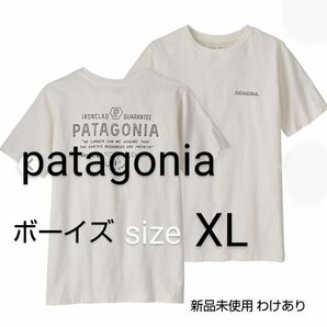 patagonia パタゴニア ボーイズ Tシャツ 半袖 FNBI 62174 