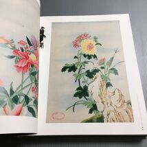 【洋書】 LA COLECCION BALMIS del REAL JARDIN BOTANICO マドリード王立植物園　バルミス遠征時(天然痘ワクチン)の東方の植物イラスト集_画像6