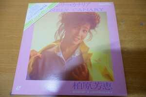 LDa-1872＜帯付＞柏原芳恵 / ロンリー・カナリア