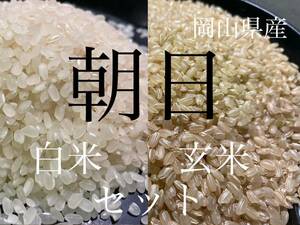 岡山県産令和5年産　朝日米　玄米2キロと白米2キロセット