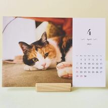 みーたんカレンダー (三毛猫カレンダー)4_画像1
