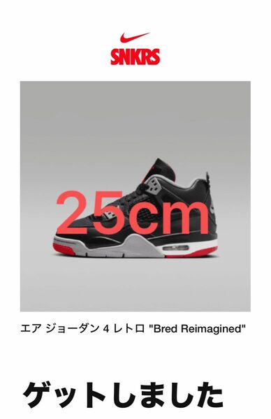 【25センチ】Nike Air Jordan 4 Retro Bred Reimagined