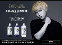 手越祐也コラボモデル CALATAS カラタス Ash アッシュ 1054 ヒートケア シャンプー 2本 トリートメント 2本 カラー ヘアケア シャンプー_画像2