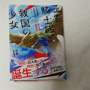 王空騎士団と救国の少女　世界最速の飛翔能力者アイリス　２ （ＥＡＲＴＨ　ＳＴＡＲ　ＮＯＶＥＬ） 守雨／著