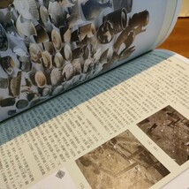 図録特別展茶道具拝見ー出土品から見た堺の茶の湯ー堺市博物館平成18年9月堺環濠都市遺跡花入香合風炉水指茶入建水灰器五徳茶臼茶壺長次郎_画像8