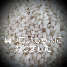 令和5年産棚田で育てたヒデコ餅包帯込み2㎏白米_画像5