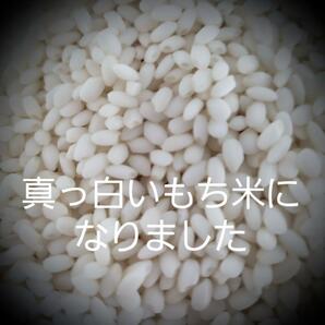 令和5年産棚田で育てたヒデコ餅包帯込み2㎏白米の画像5