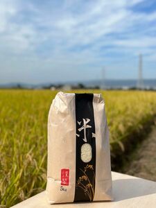 奈良県産 ヒノヒカリ 新米 天日干し 5kg 新米 農家 玄米 令和 米 減農薬