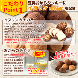 イヌリン入りソフト豆乳おからクッキー500g(チョコ・オレンジ)/ダイエット,大量菓子,ヘルシーの画像5