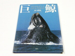 ◎ 巨鯨 WHALES & DOLPHINS 母クジラ/子クジラ 水口博也 講談社 1990.2.